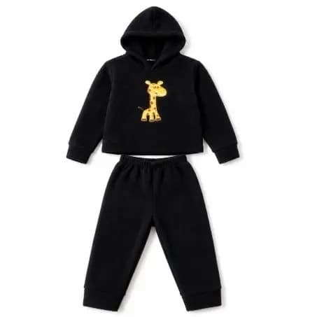 Conjunto Bebê- Blusa Calça Manga Longa Bordada Peluciado Com Capuz Menina/Menino Tam P ao 3 anos