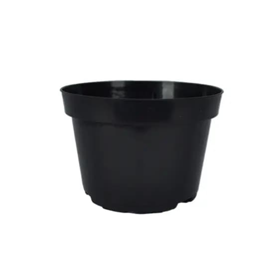 Kit 50 Vasos Pote 11 de 430 ml Cor Preta Para Suculentas, Violetas, Cactos, Mudas e Artesanato