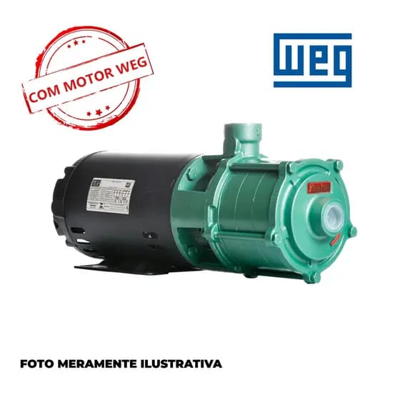 Bomba THEBE Trifásica P-11/4 NORYL 2,0 CV 220/380V