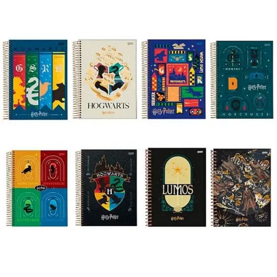 Caderno Harry Potter HP Hogwarts 15 Matérias 300 Folhas