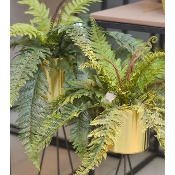 planta samambaia artificial 1unidade 53cm