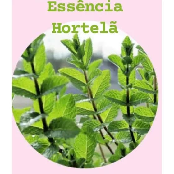ESSÊNCIA HORTELÃ 100ML