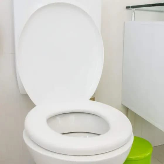Assento para Vaso Sanitário de Plastico Padrao Com Tampa Tradicional - Branco