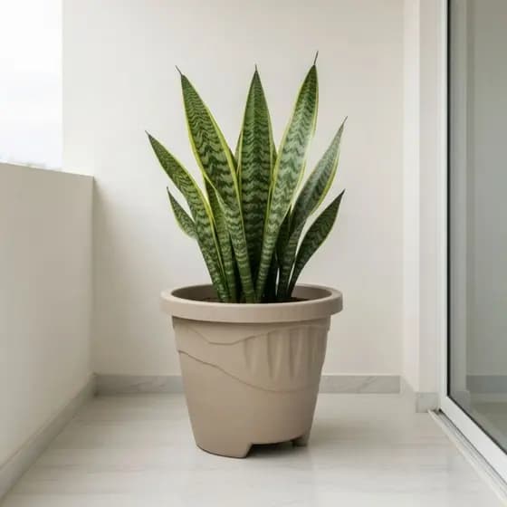 Kit 6 Vasos Redondo G 9L Preto Terracota Café Areia Para Plantas Jardim Decorativo Resistente Multiuso Casa Exterior