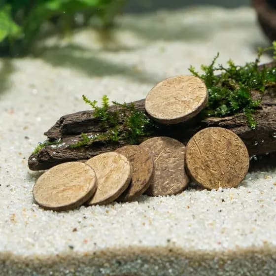 🖼️ 50Peças Elementos De Casca De Polida Para Cenário Natural E Aquário