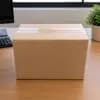 Envelope Caixa com 250 Envelopes documentos - Parda