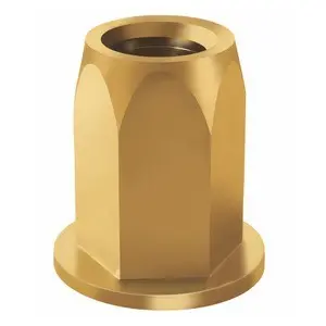 Rebite com Rosca Sextavado 10mm (Porca Rebite) 10 pçç