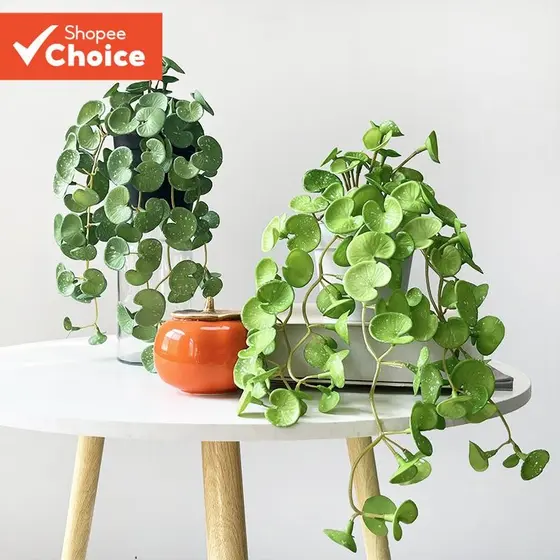 Vaso De Flores De Cerâmica Elegante Para Plantas Artificiais E Buquês