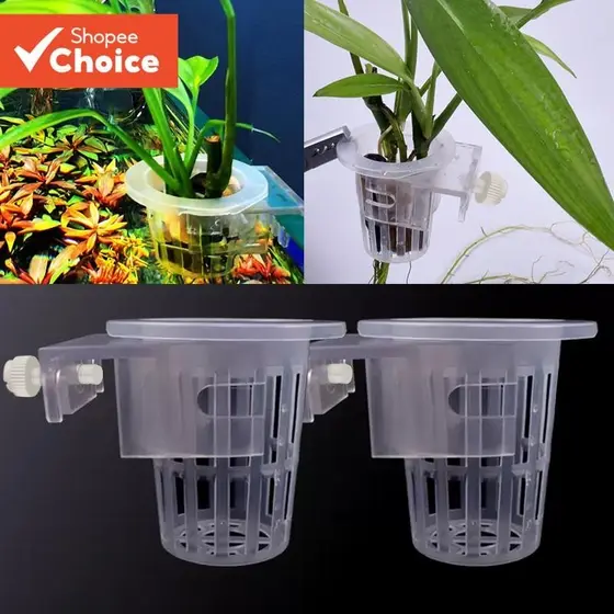 Copo De Plantio De Uma Peça , Planta Aquática De Cultivo Hidropônico Transparente , Cesta Suspensa Para Decoração De Tan