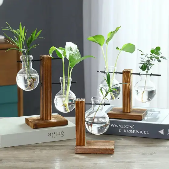 Vaso Hidropônico Com Moldura De Madeira-Plantador De Hera De Vidro Para Mesa De Escritório E Decoração De Plantas