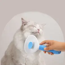 Escova Coçador Pet Parede Gato Massagem Brinquedo/Vestuário Removedor De Pêlos/Luva Nano Magnético  Pelos/ Escova Removedora Tira Pelos Dos Pets/ Rolo Tira Pelos Para Roupas Tecidos Lavável