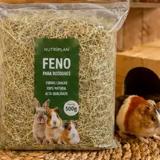 Feno Natural Para Roedores 500g Embalado