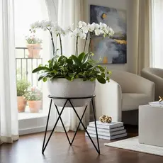 Suporte para Vaso Tripé Decorativo Estrutura Reforçada Ideal para Jardim Varanda e Casa