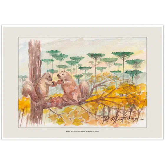Fauna do Horto de Campos - Campos do Jordão | Arte Aquarela para Quadro Decorativo | Lembrança A4