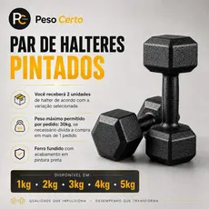 Par Halter Sextavado Pintado 1kg ao 5 kg - Musculação Peso Academia Pesinho Exercício Físico