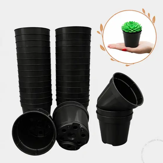 Kit 100 vaso para plantas na cor Preta pote 6 Cactos Suculentas Preto