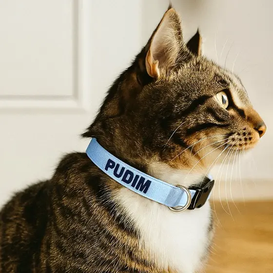 Coleira gato nome telefone- Coleira gato personalizada- Coleira gato identificação / Coleira id