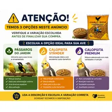 Ração Para Pássaros do Jardim e Calopsitas Alta Aceitação