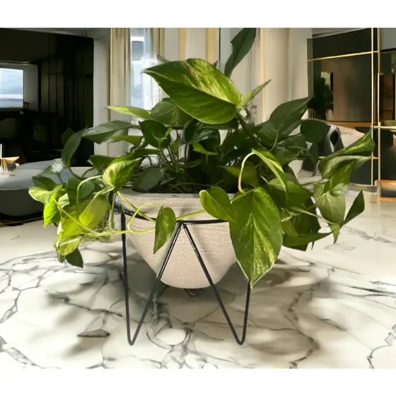 2 Supo tripé 18x15 para Vaso de Planta