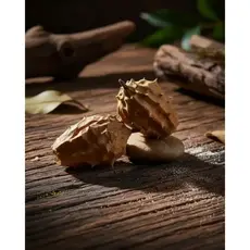 Buchinha Do Norte Seca Natural Premium 4 unidades
