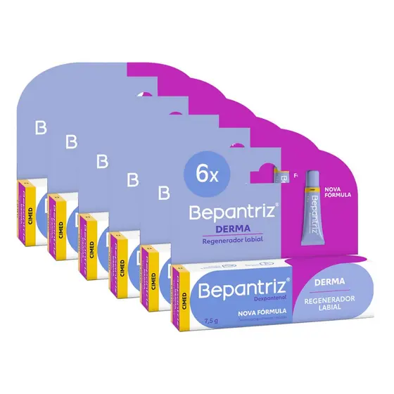 Kit c/6 und Protetor Labial Bepantriz Derma 7,5 ml