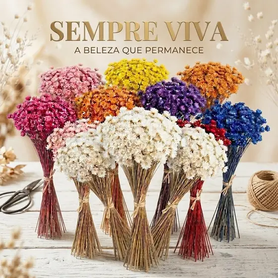 Flor Sempre Viva Premium 200/400/800 Flores Secas para Decoração, Arranjos, Buquês e Artesanato