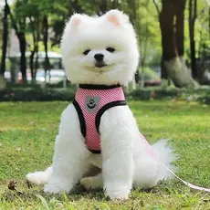 Guia Coleira de Malha Flexível com Colete Peitoral Ajustável para Cão Cachorro Gato Animais