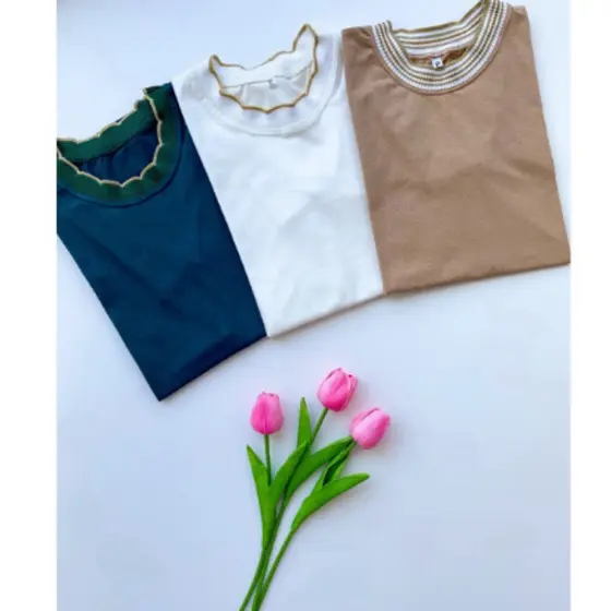 Blusa T-shirt Camiseta Babylook Blusinha Básica Lisa