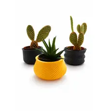 Vaso Decorativo Espiral em Impressão 3D | Design Moderno Minimalista para Suculentas e Cactos