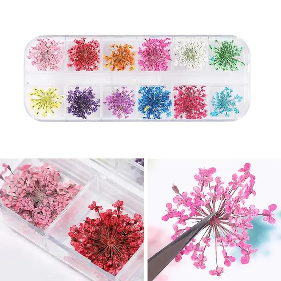 Caixinha com 12/24/36 Flores Secas Encapsulamento Decoração Unhas De Gel