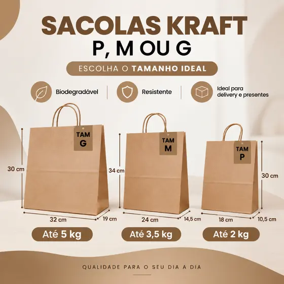 Sacola De Papel 10 UNID Tam P M ou G Kraft Lisa Na Cor Pardo -  Para Presente Delivery Food com Alça
