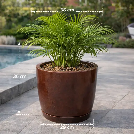 Vaso para Plantas Bojo G com prato Liso Marmorizado Polietileno Grande Decorativo Jardim Casa