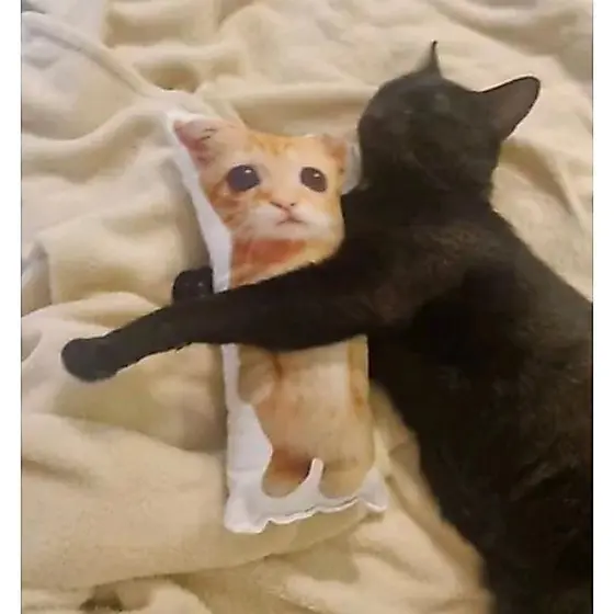 Almofada divertida, memes, presente. Tamanho 25 cm altura,