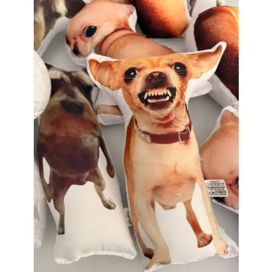 Almofada decorativa, divertida, presente, memes . Tamanho 30 cm