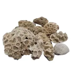 800 gramas - Pedra do mar - Pedras naturais - Coral - para áquario, artesanato e decoração em geral