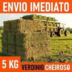 5 kg de Feno Premium – Natural, Verdinho e Cheiroso - Envio Imediato