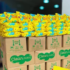 Kit Com Até 500 Lenços/Toalhas Umedecida Kit Higiene Bebe Lara Baby - Escolha a Quantidade