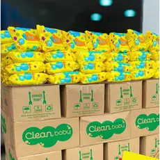 Kit Com Até 500 Lenços/Toalhas Umedecida Kit Higiene Bebe Promoção - Escolha a Quantidade