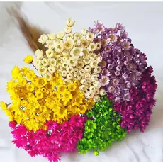 Flores Sempre Vivas Naturais Kit Buquê Colorido Para Vasos e Arranjos Decorativos