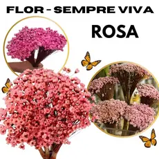 Kit Floral Com Flores Sempre Vivas Para Decoração Artesanato e Festas Rose