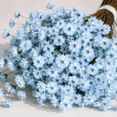 Flores Sempre Vivas Naturais Decorativas Para Arranjos Kit Floral Colorido 150 azul claro