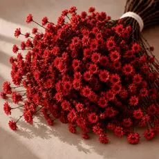Buquê Decorativo Natural Flores Sempre Vivas Coloridas Para Arranjos