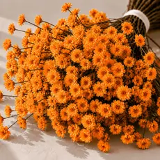 Buquê de Flores Sempre Vivas Coloridas Para Artesanato Decoração e Lembranças Laranja