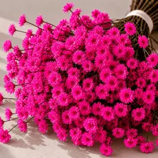 Flores Sempre Vivas Para Artesanato Kit Colorido Natural Para Decoração Pink