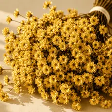 Flores Sempre Vivas Kit Floral Colorido Para Decoração de Casa e Escritório 150 flores Dourado