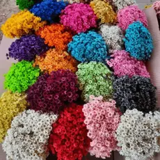 Kit Atacado Sempre Viva Natural Desidratada Decoração Festa Arranjo Casamento Flor Seca Coloridas