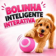 Bolinha Inteligente Pet Interativa Para Cães e Gatos Cachorro Com Led
