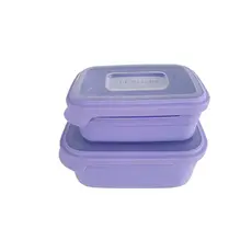 Conjunto Potes Retangulares 2 pçs. 500ml e 1000ml Lilas Com Tampa Tipo Marmita Helsim
