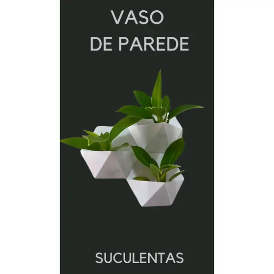 Vasos de Suculentas e Cactos de Parede - Decoração Moderna e Minimalista para Seu Ambiente