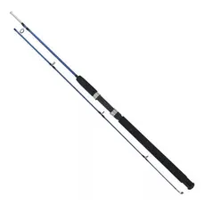 Vara De Pesca Maciça para Molinete 1,65 M  -  2 Partes